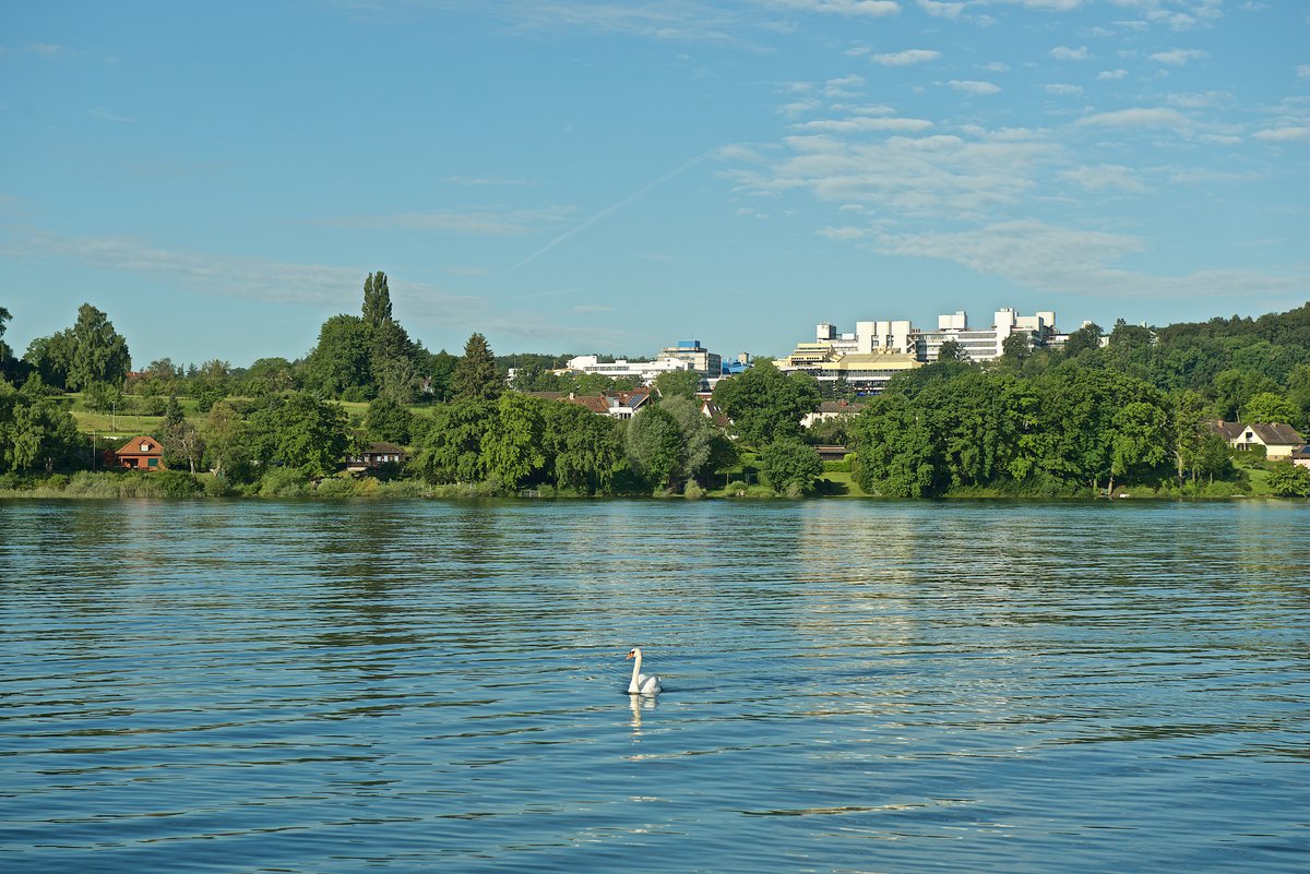 Blick vom See aus auf die Universität